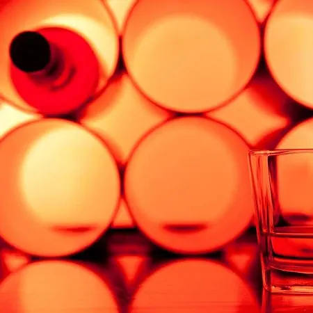 Vienna House By Wyndham Havelufer Otel Potsdam